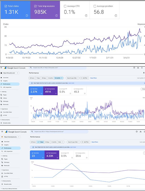 Search Engine Optimization